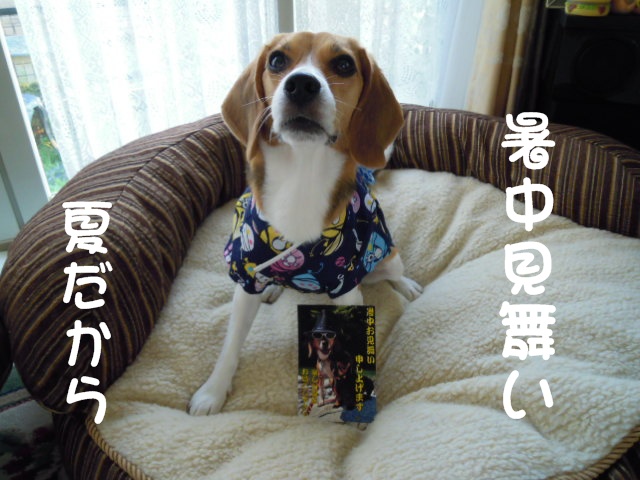 c0166622_993358.jpg