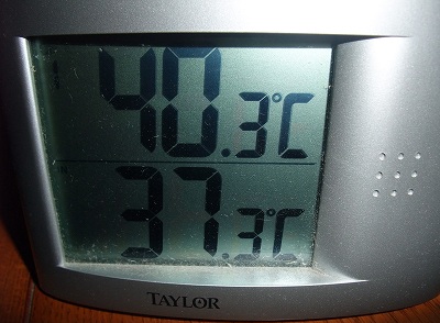 f0037623_2251215.jpg