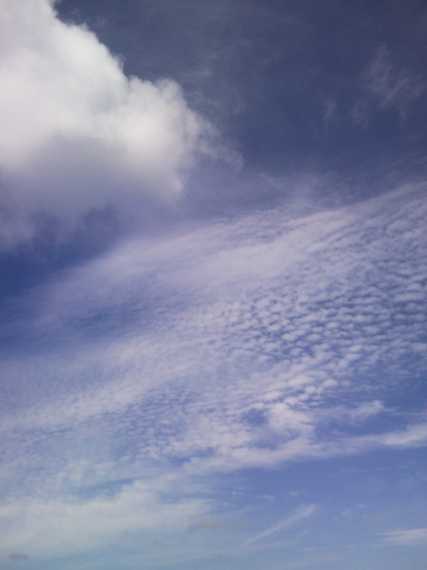 f0197325_1039562.jpg