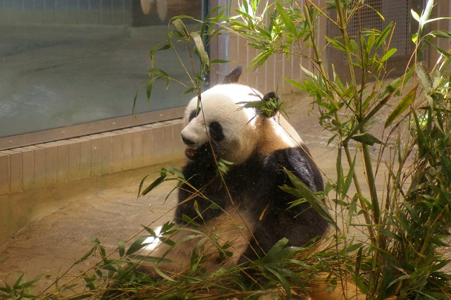 a0024829_22452096.jpg