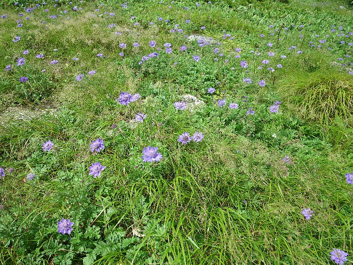 f0118332_21335574.jpg
