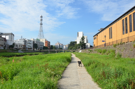 d0156438_1152569.jpg