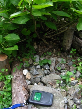 c0204740_1420854.jpg