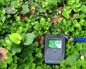 c0204740_14542100.jpg