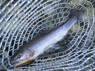f0065341_14124171.jpg
