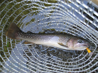 f0065341_14131370.jpg