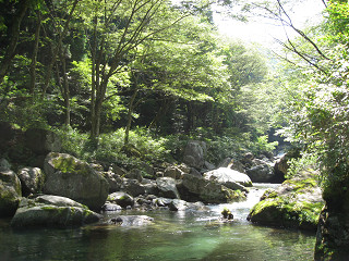 f0065341_1416587.jpg
