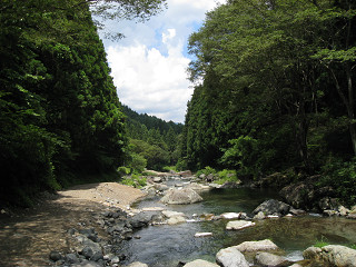 f0065341_1420835.jpg
