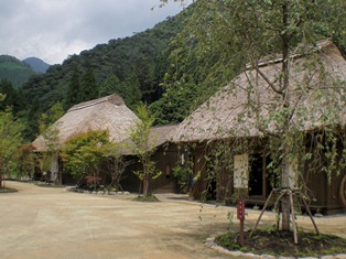 b0199742_2015728.jpg