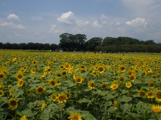 b0199742_20532869.jpg