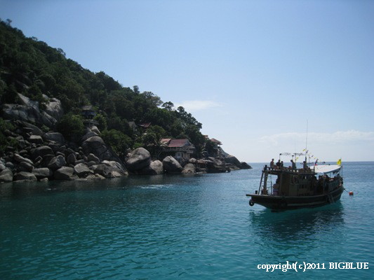 e0027447_131704.jpg