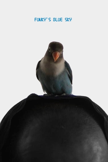 c0145250_1043095.jpg