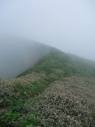 f0009451_10174269.jpg
