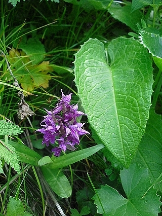 f0009451_1024207.jpg