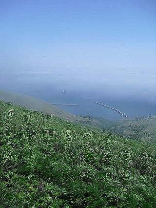 f0009451_10261378.jpg