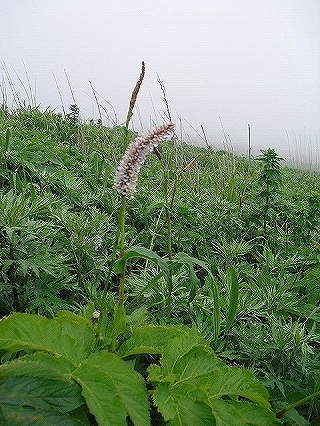 f0009451_10415448.jpg
