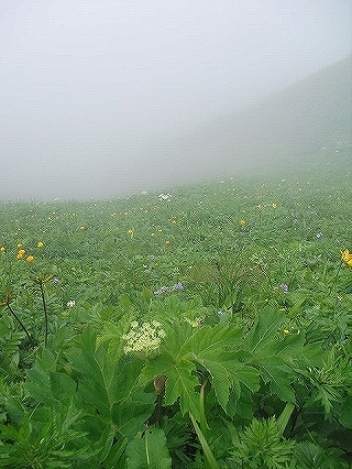 f0009451_10523749.jpg