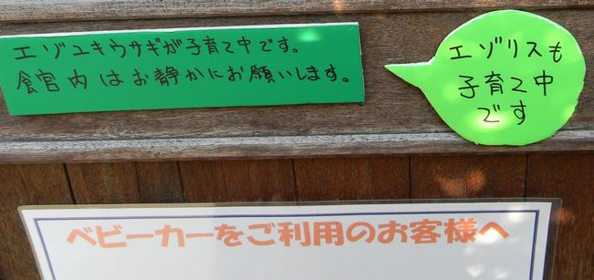 b0014576_235742.jpg