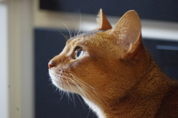 f0054677_6573047.jpg