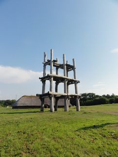 d0082980_9404691.jpg
