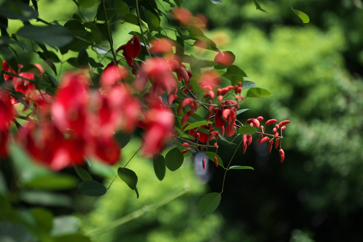 a0083081_17502345.jpg