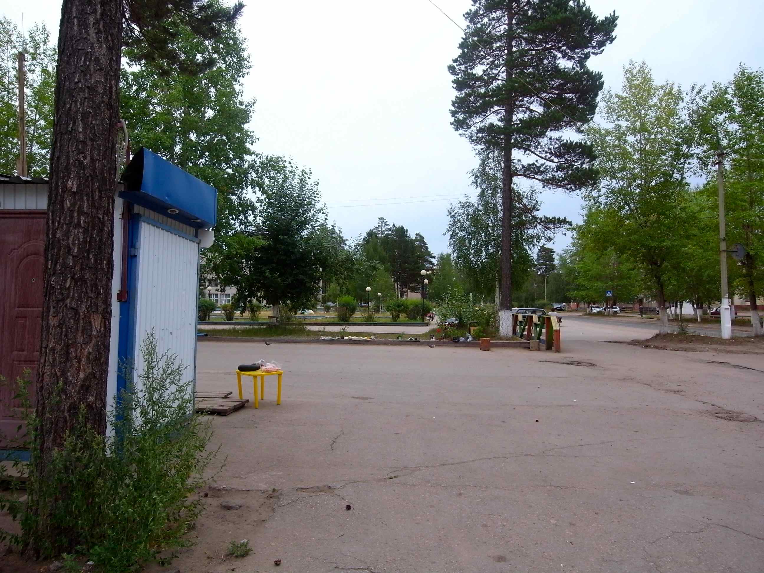 d0170682_16134446.jpg