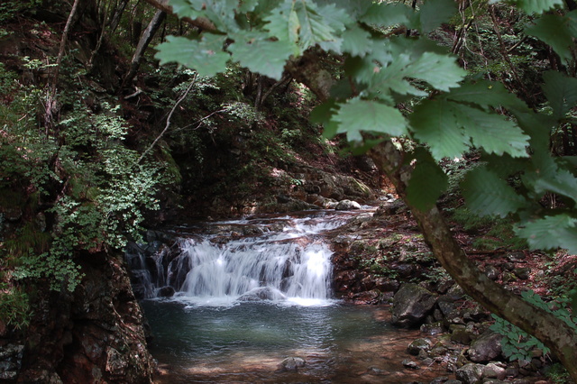 b0203588_1726451.jpg