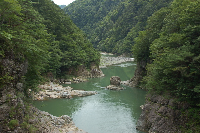 b0203588_1726668.jpg