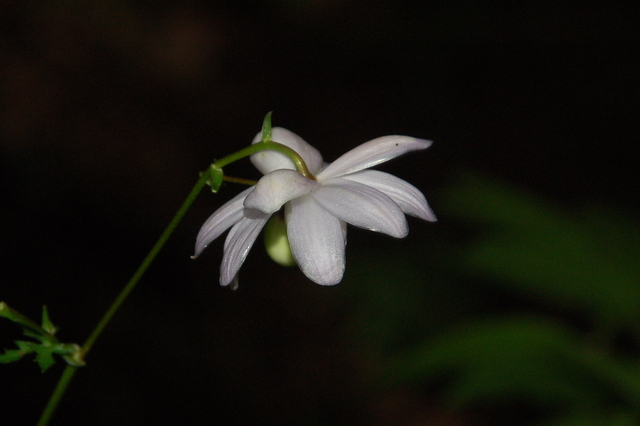 b0203588_1729938.jpg