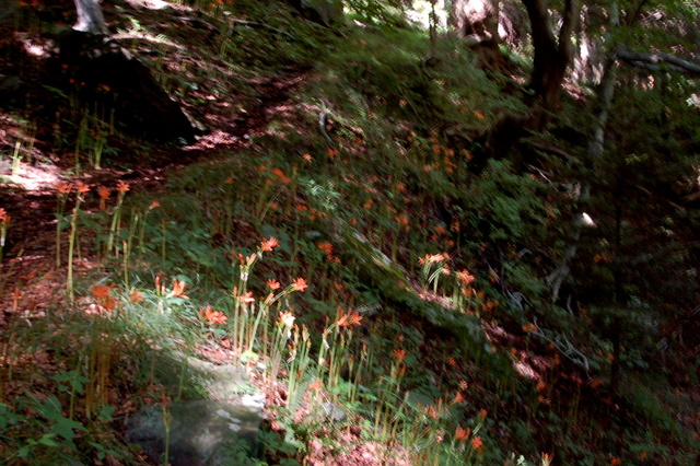 b0203588_17313181.jpg