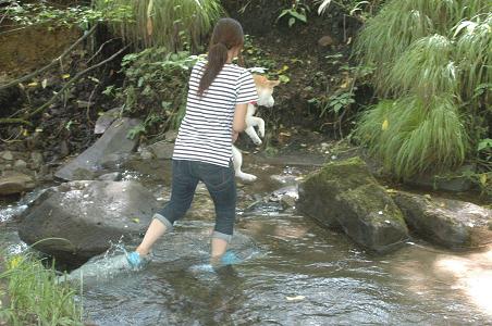 c0123890_2026652.jpg