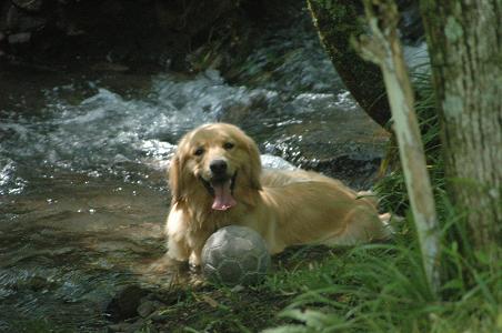 c0123890_20334579.jpg