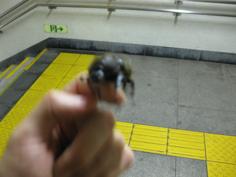 d0160692_2402297.jpg