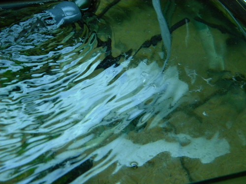 f0138093_19391953.jpg