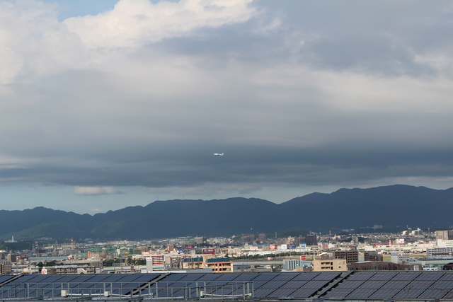 c0053096_2262561.jpg