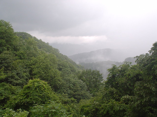 a0116205_19541514.jpg