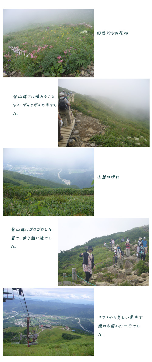 c0051105_16422611.jpg