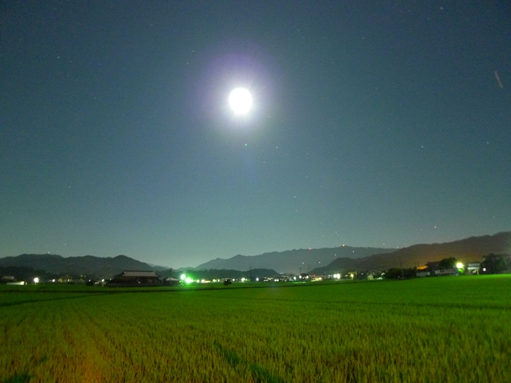 a0097006_00834.jpg