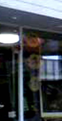 e0103408_14371128.jpg