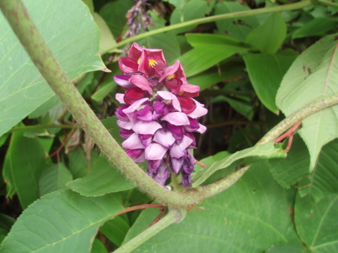 b0198109_7261881.jpg