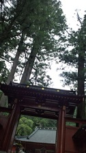 f0054809_14161144.jpg