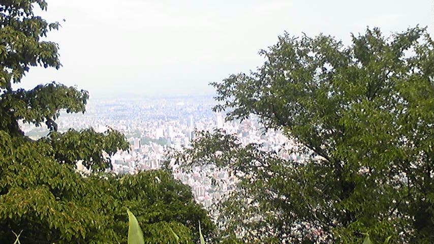 e0113915_9182763.jpg