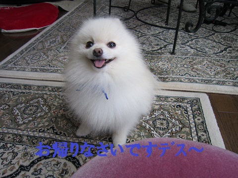 b0167519_025124.jpg