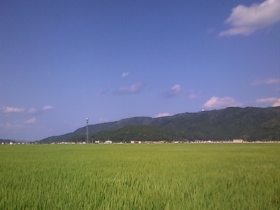 a0118120_19284412.jpg