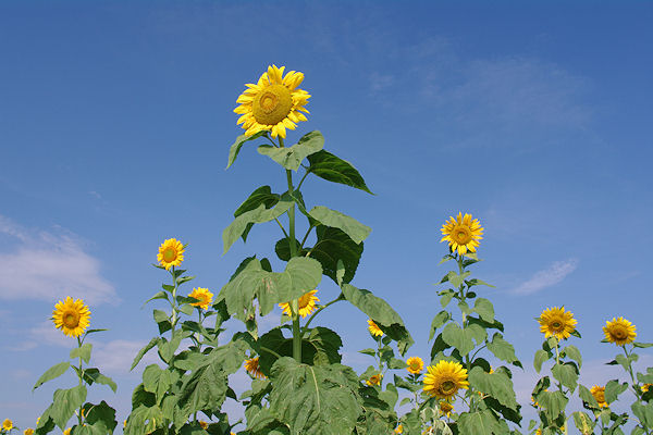 f0007926_10311754.jpg