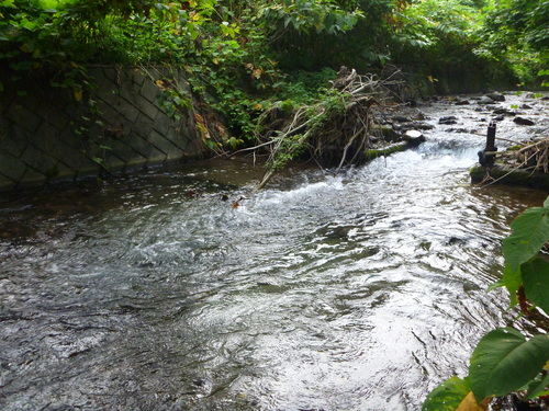 b0195927_11361489.jpg