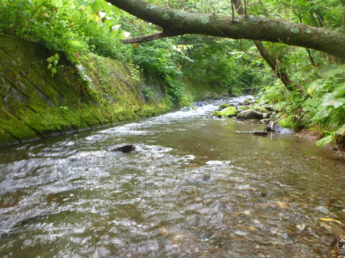 b0195927_1155378.jpg