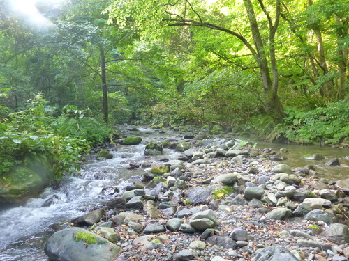 b0195927_12155777.jpg