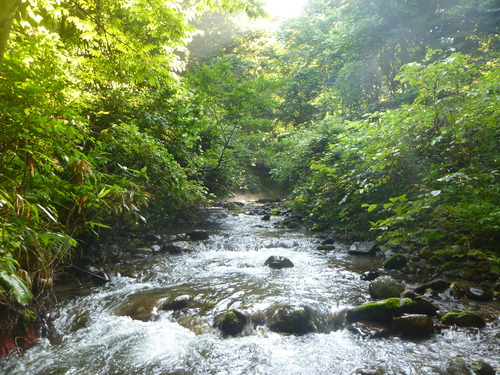 b0195927_12294975.jpg