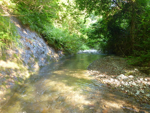 b0195927_12331853.jpg